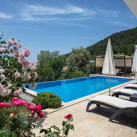 Islamlar 2 Bedroom - 1077 Willa *